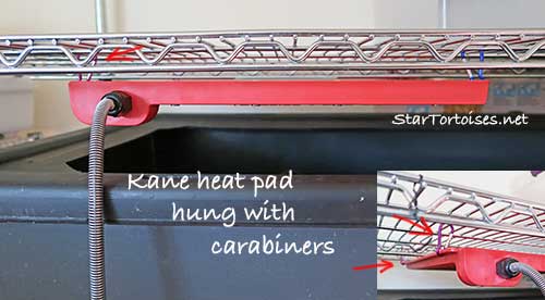 Kane pig blanket heat pad