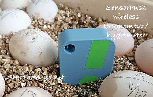 SensorPush wireless thermometer / hygrometer