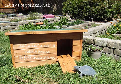 tortoise house