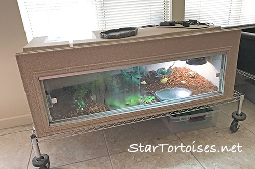 vivarium / terrarium / closed chambers for baby star tortoises